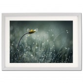 ꡼ե졼 饷åСࡼ ܡաʸա B1