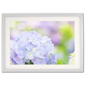 ꡼ե졼 饷åСࡼ ܡաʸա A4