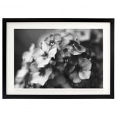 ꡼ե졼 饷å֥å ܡաʸա B4