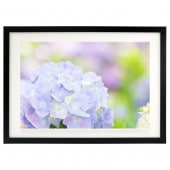 ꡼ե졼 饷å֥å ܡաʸա A4