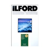 ե ꡼ ե󥢡ȥХڥڡѡѥåࡼۡ330mmx483mm