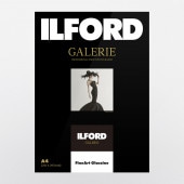 ե ꡼ե󥢡ȥ饷 A2 50