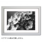 ꡼ե졼 åȥС ܡաʸաˡ̵  B4