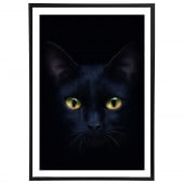 ꡼ǥե졼 ݥåץȥ֥å ܡաʸա A2