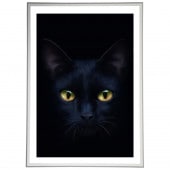 ꡼ǥե졼 ݥåץȥС ܡաʸա A2