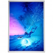 ꡼ǥե졼 ݥåץȥС ܡաʸա B0