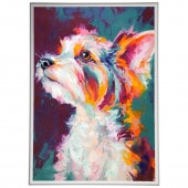 ꡼ǥե졼 ݥåץȥС ܡաʸա B2