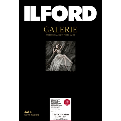 ����ե����� �����꡼ ������»� ����110 A3+(Deckle Edge) 10��