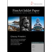 ��1������ۥϡ��ͥߥ塼�� �ե��ȥ饰�Х饤�� 315gsm A3+ 25���Ȣ���᡼���ʡ�