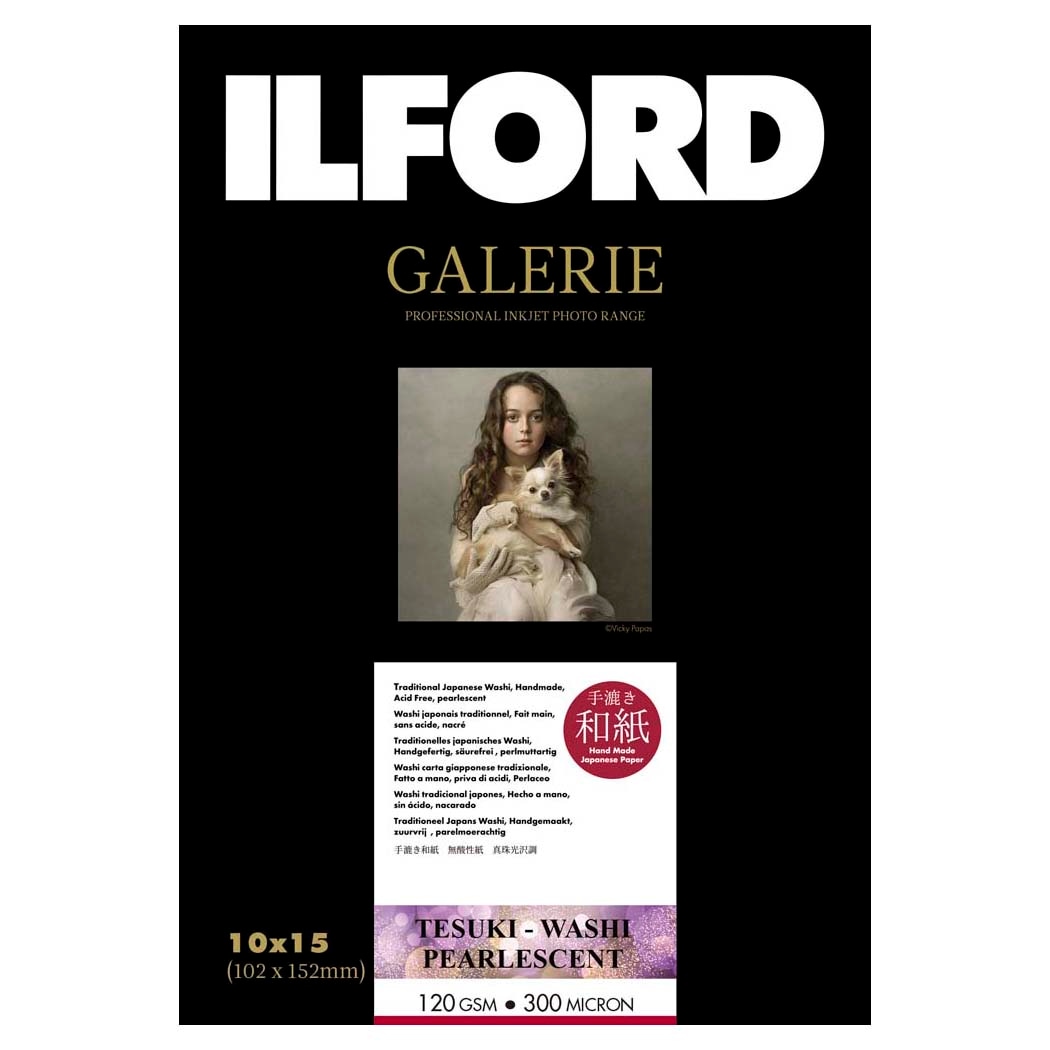 ����ե����� �����꡼ ������»�ѡ��륻��� 102mmx152mm 50��