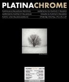 �ץ���ʥ������� ���åȥ� ������ 406x508��16x20