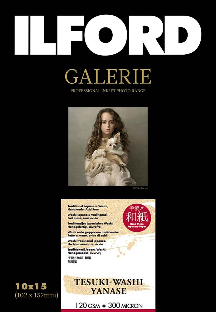 ����ե����� �����꡼ ������»� ����120 4x6����� 50��