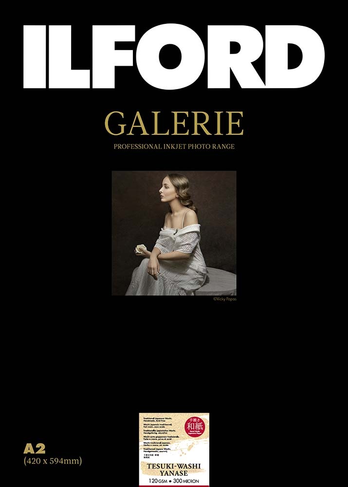 ����ե����� �����꡼ ������»� ����120 A2 10��