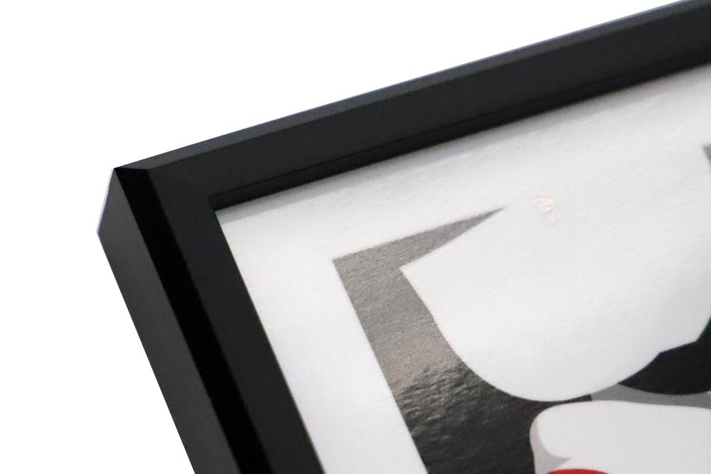 �����꡼�ǥ����ե졼�� �ݥåץ����ȥ֥�å� �������ܡ����աʸ��ա� A3+