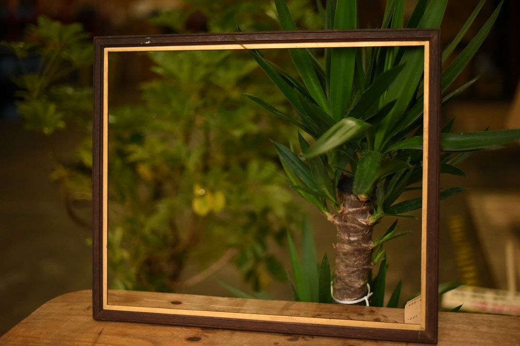 103512 ヴィンテージ　ウッドフレーム 額縁
