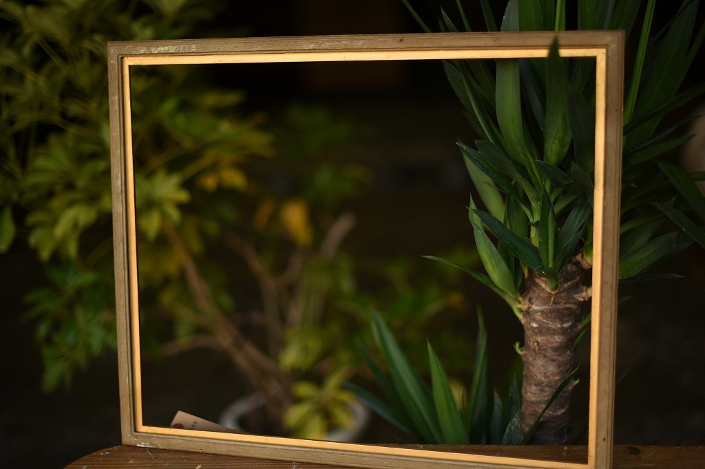 103548 ヴィンテージ　ウッドフレーム 額縁
