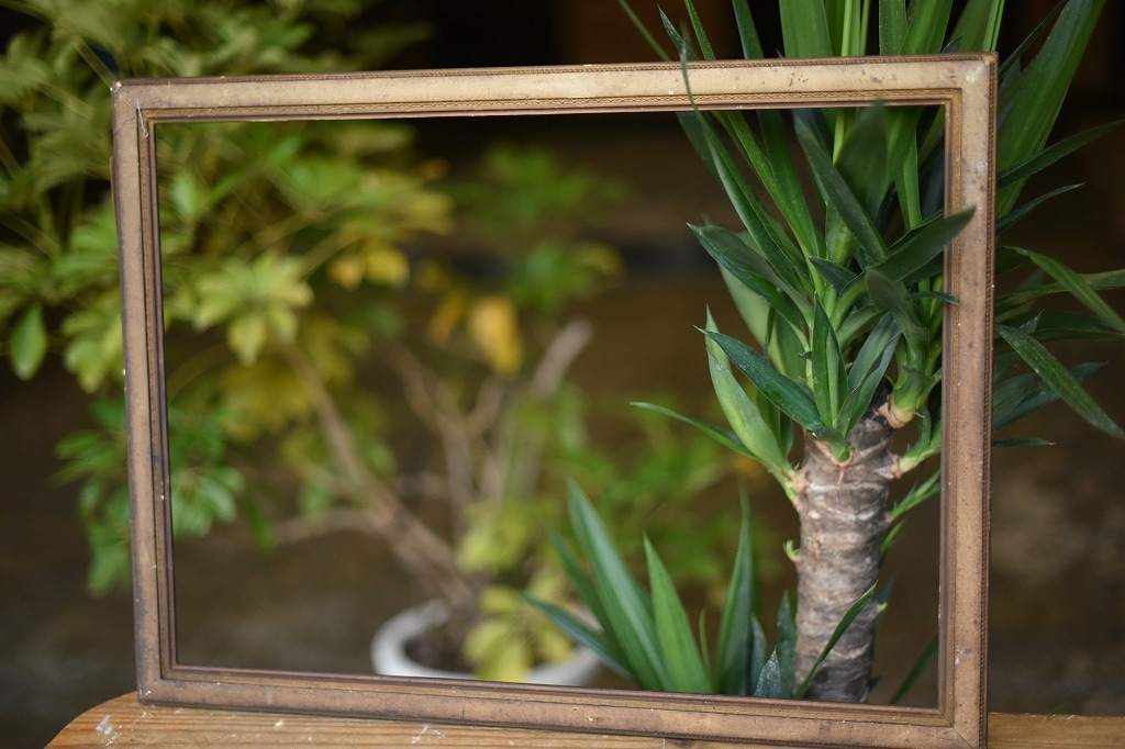 103536 ヴィンテージ　ウッドフレーム 額縁