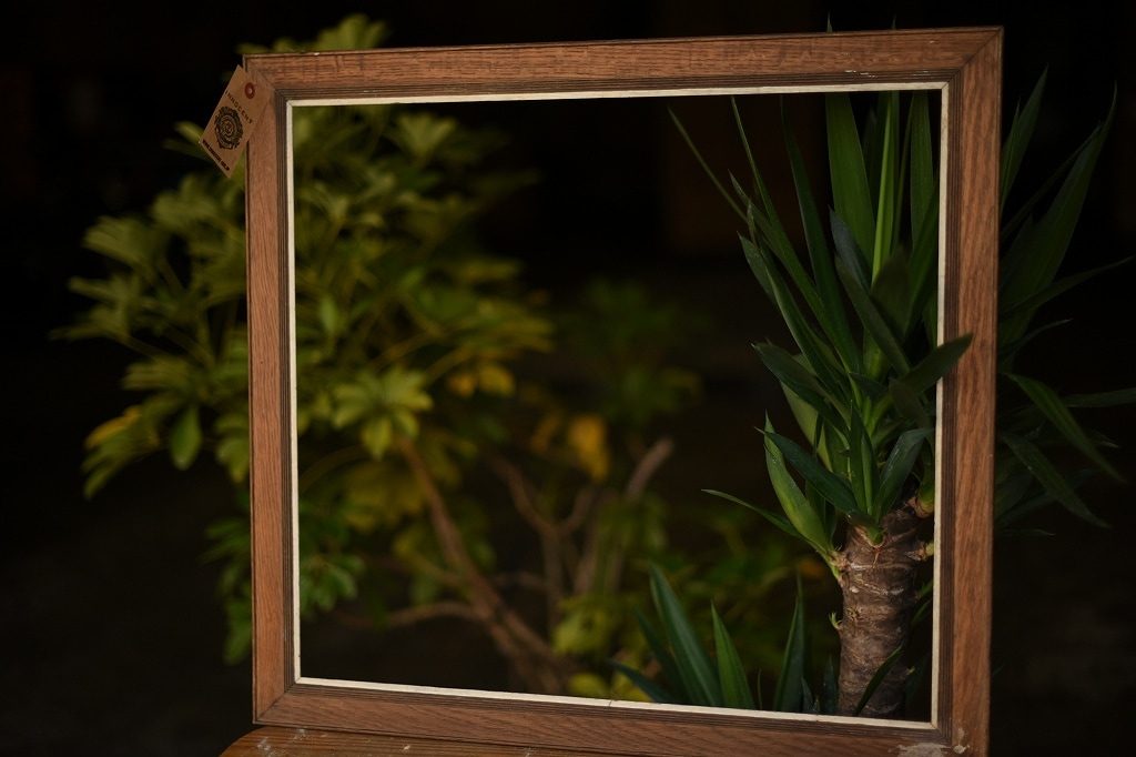 103419 ヴィンテージ　ウッドフレーム 額縁