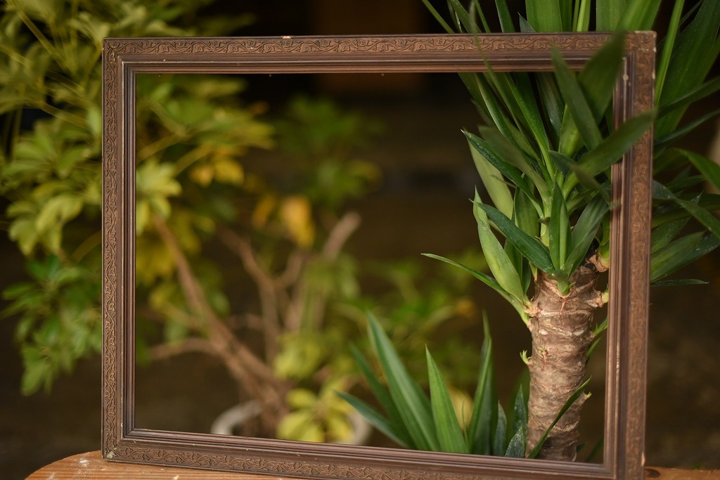 103533 ヴィンテージ　ウッドフレーム 額縁