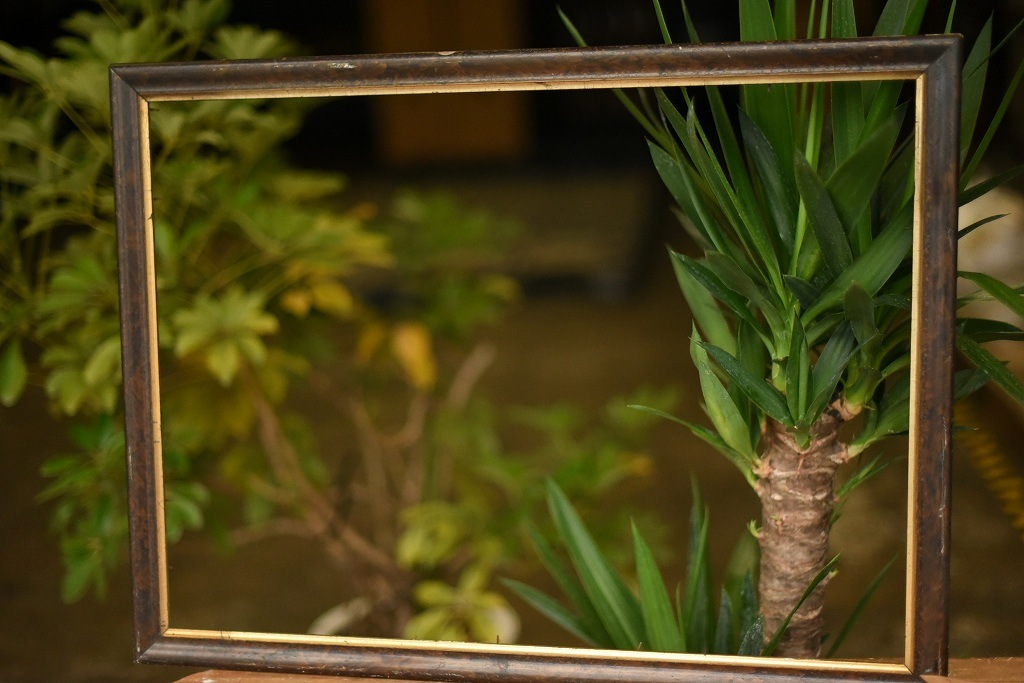 103559 ヴィンテージ　ウッドフレーム 額縁