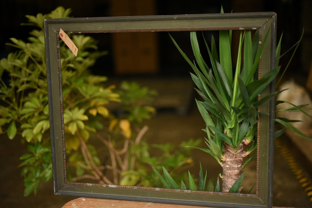 103556 ヴィンテージ　ウッドフレーム 額縁