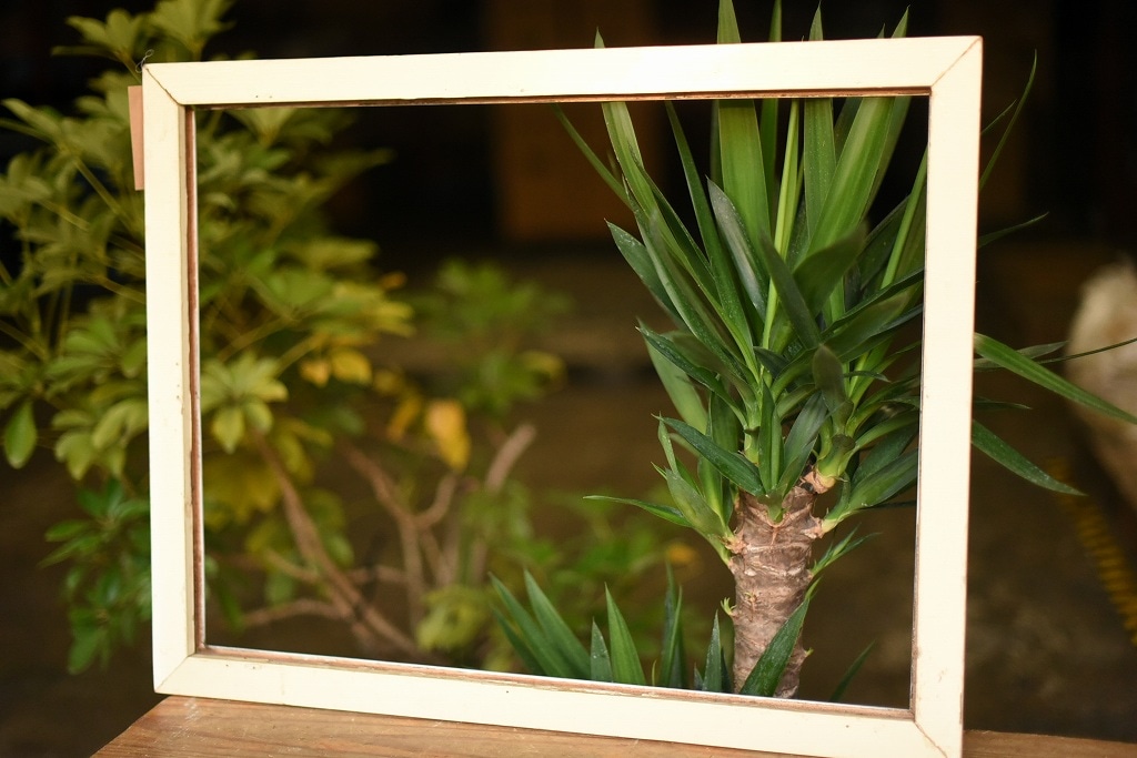 103557 ヴィンテージ　ウッドフレーム 額縁