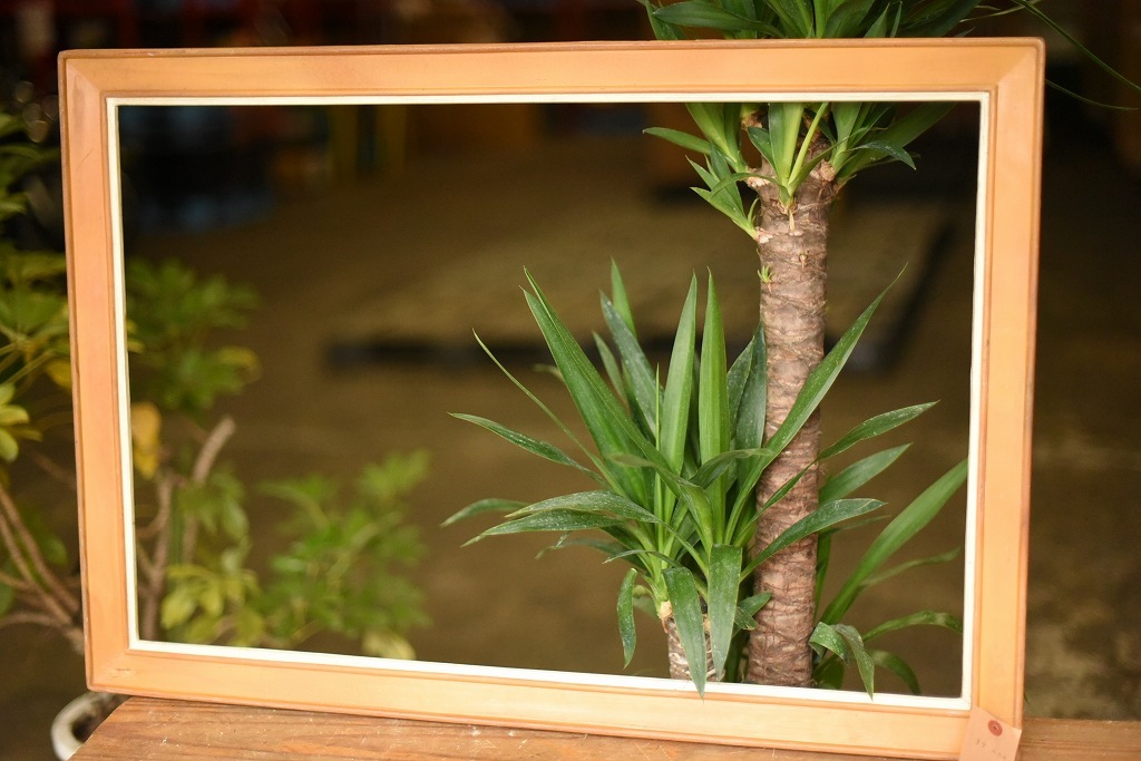 103521 ヴィンテージ　樹脂製　フレーム 額縁