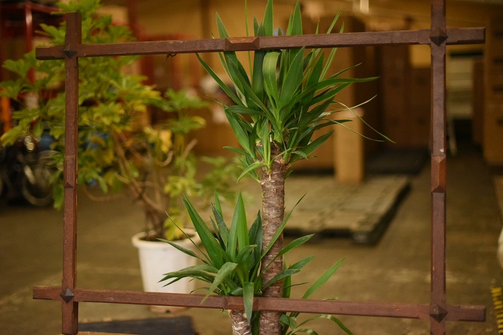 103630 ヴィンテージ　ウッドフレーム 額縁