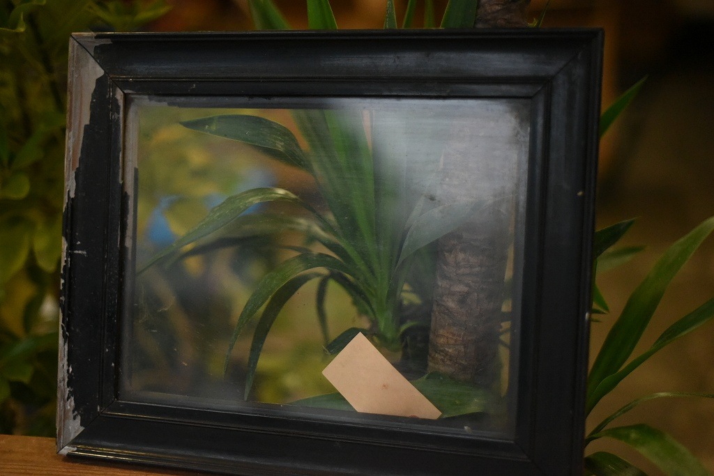 103523 ヴィンテージ　ウッドフレーム ガラス版付属　額縁