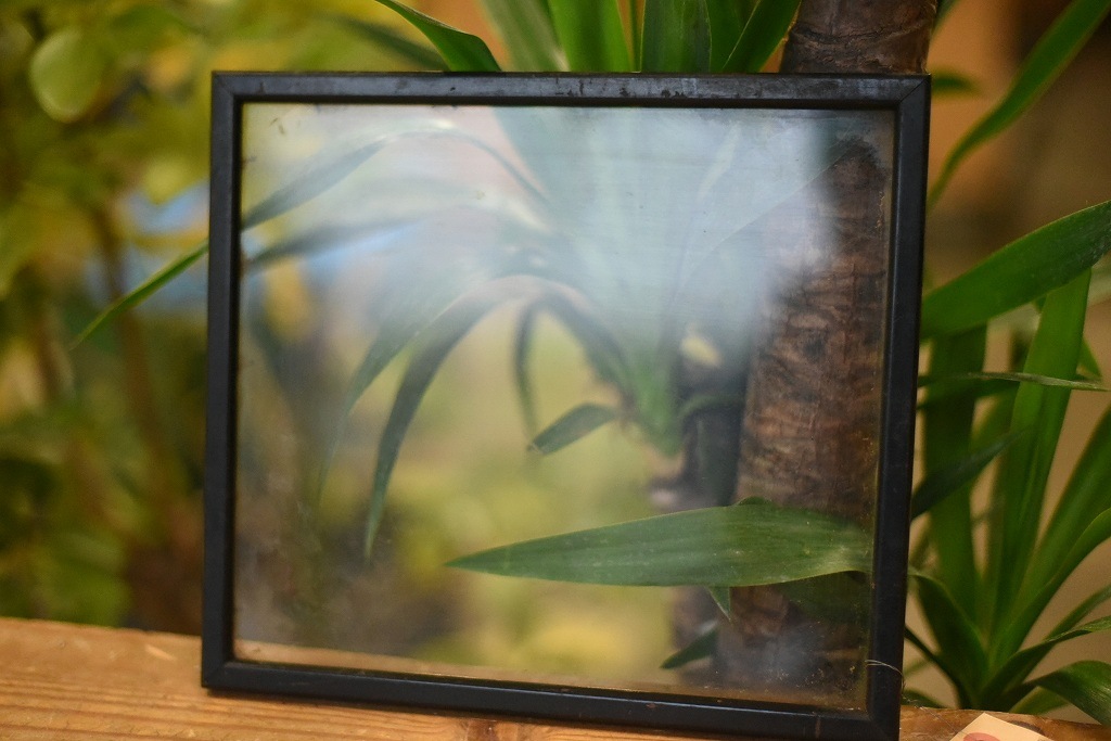 103643 ヴィンテージ　ウッドフレーム ガラス版付属　額縁