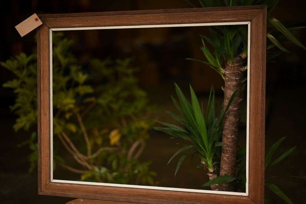 103582 ヴィンテージ　ウッドフレーム 　額縁