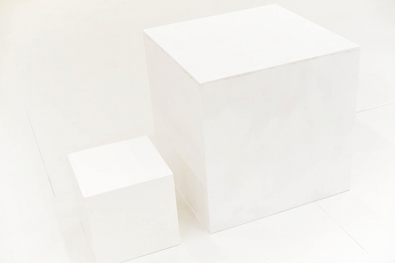 ボックス　五面体　白塗装代金　（塗装をご希望の場合）