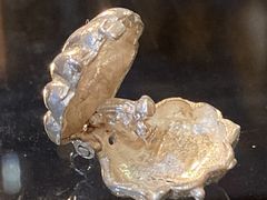 108679「PEARL SHELL」 925 SILVER ジュエリー　MADE IN ENGLAND |ジュエリー|ファッショングッズ