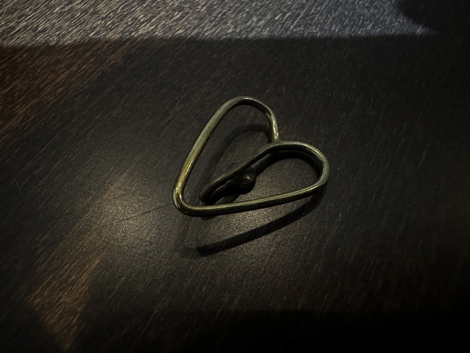 SHAMS lapel pin