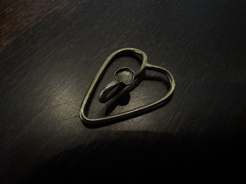 SHAMS lapel pin
