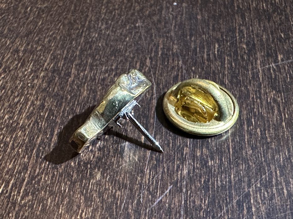 SHAMS push pin 