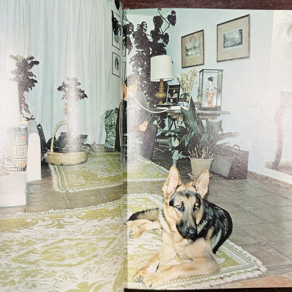 B4613「James Hunt Against All Odds」モータースポーツ F1