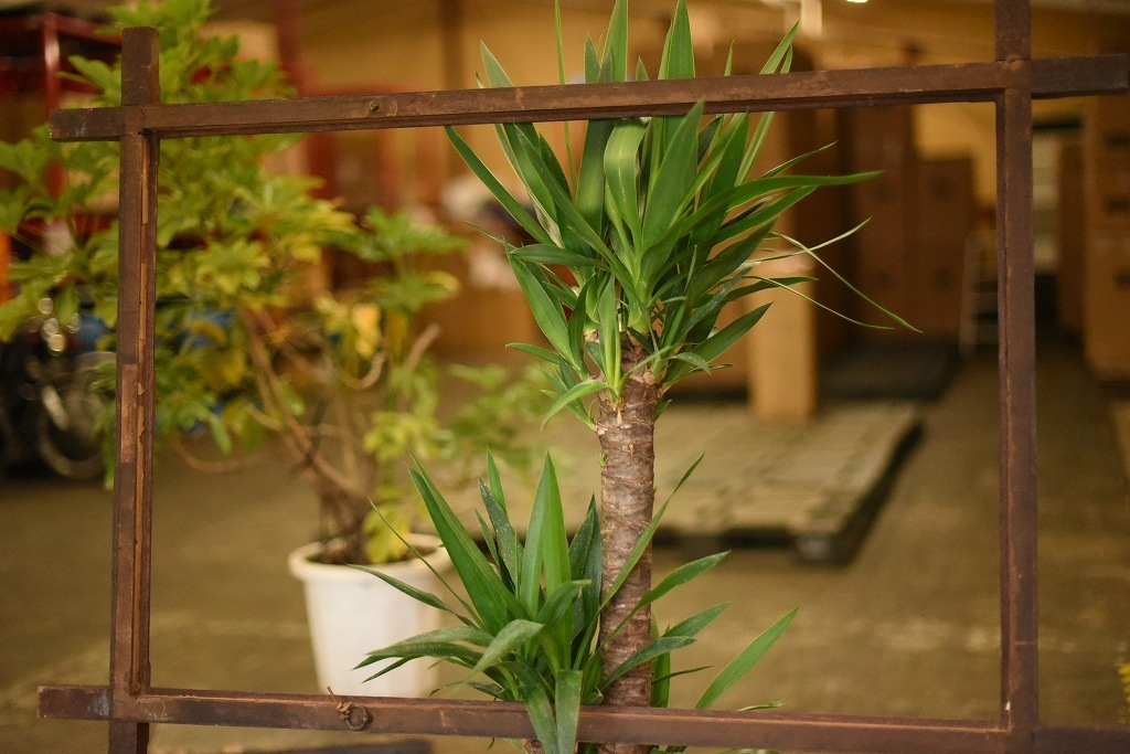 103630 ヴィンテージ　ウッドフレーム 額縁