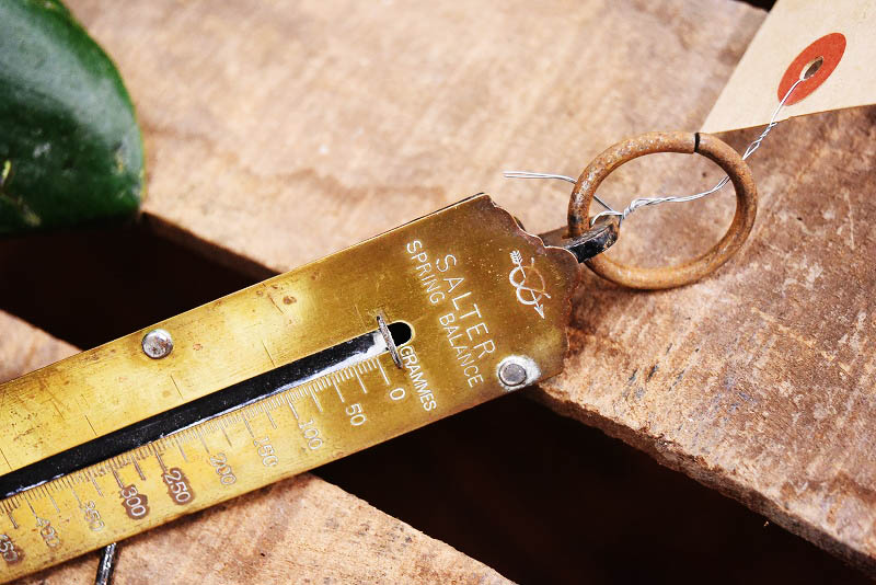 105328 ヴィンテージ　「SALTER SPRING BALANCE」　バネ秤　計量器　吊り下げ式秤　スケール　真鍮製　ブラス　英国 MADE IN ENGLAND