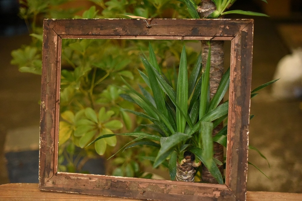 103601 ヴィンテージ ウッドフレーム 額縁