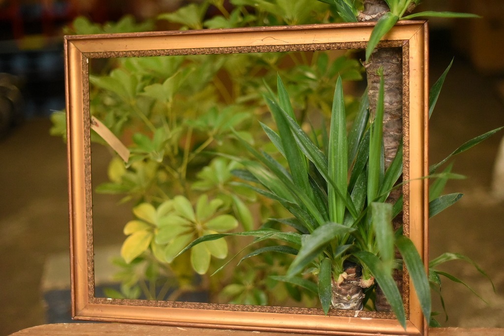 103603 ヴィンテージ　ウッドフレーム 額縁