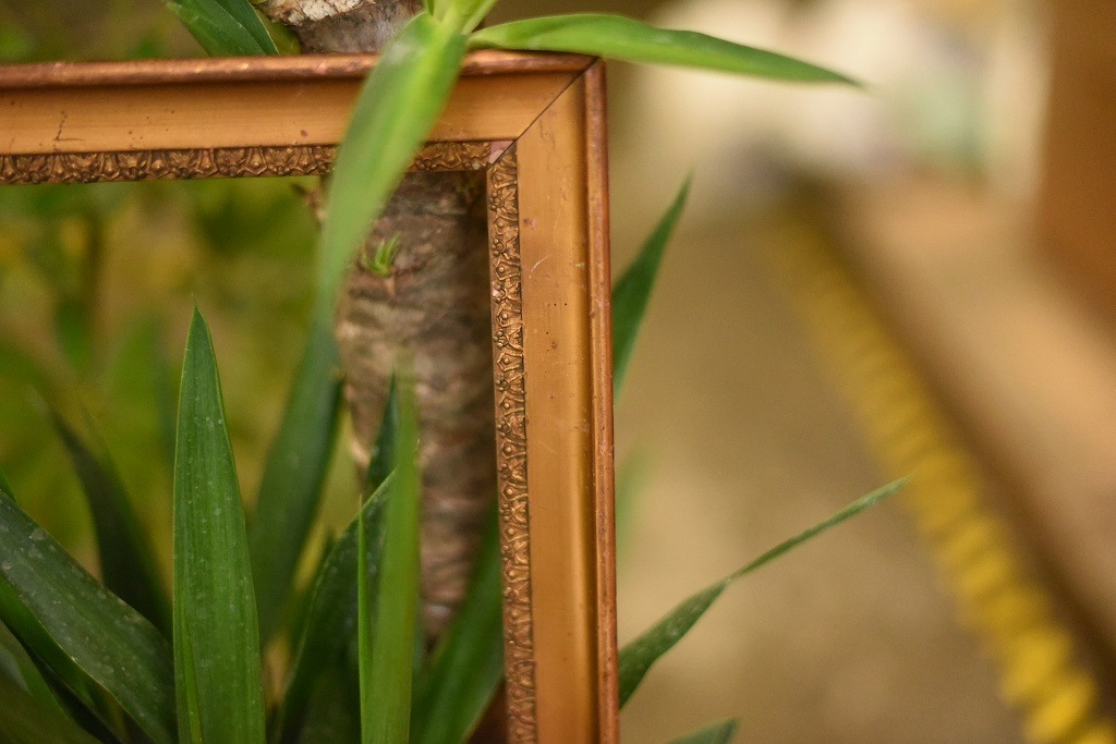 103603 ヴィンテージ　ウッドフレーム 額縁