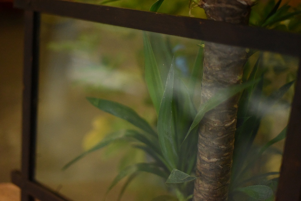 103569 ヴィンテージ　ウッドフレーム ガラス版付属　額縁