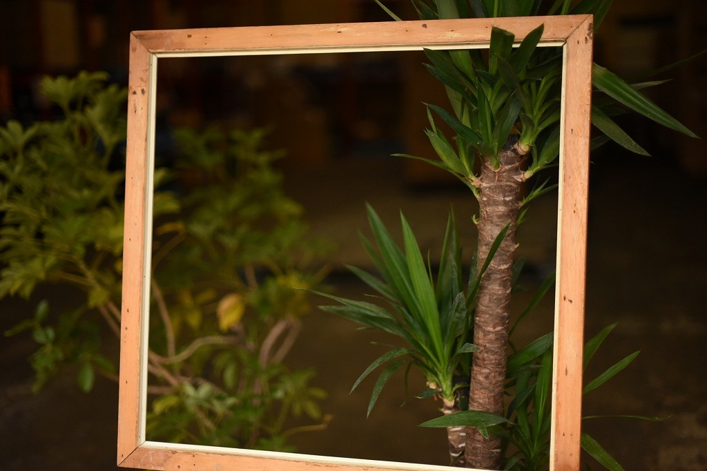 103575 ヴィンテージ　ウッドフレーム 　額縁