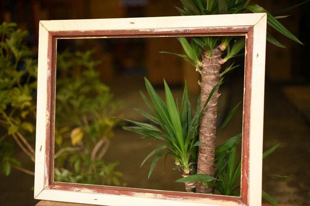 103572 ヴィンテージ　ウッドフレーム 　額縁