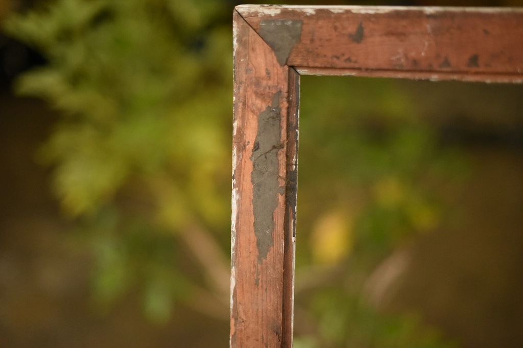 専用　2枚セット Amazon | デビカ 保護チューブ付き 綿ロープなわとび 103576 | デビカ