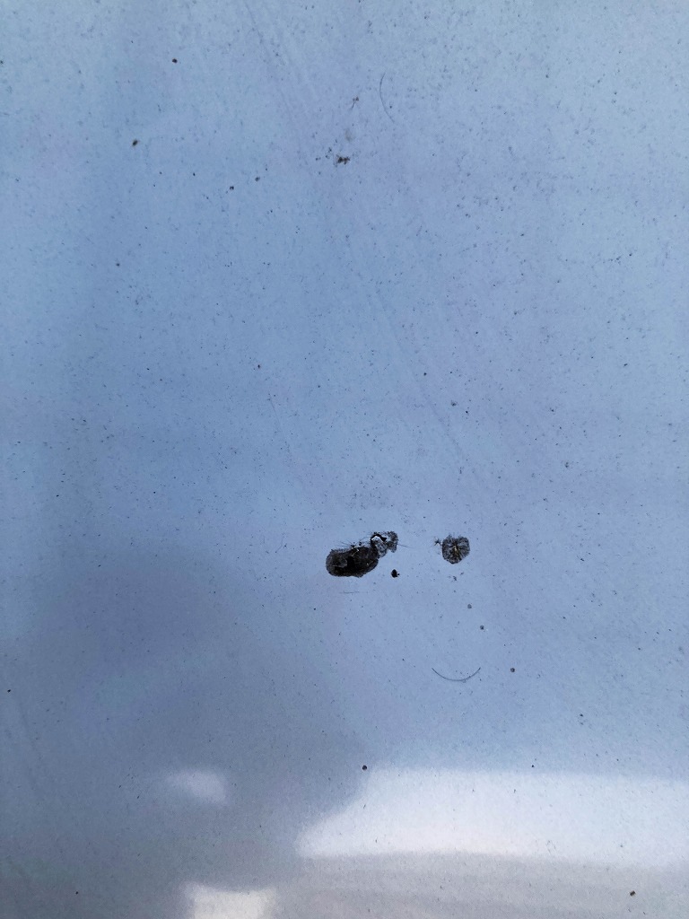 「NISSAN SUNNY TRUCK」 日産　サニートラック