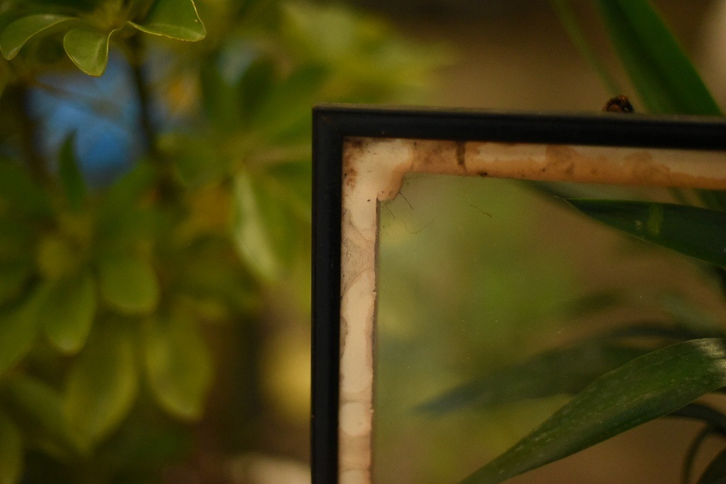 103520 ヴィンテージ　ウッドフレーム ガラス版付属　額縁