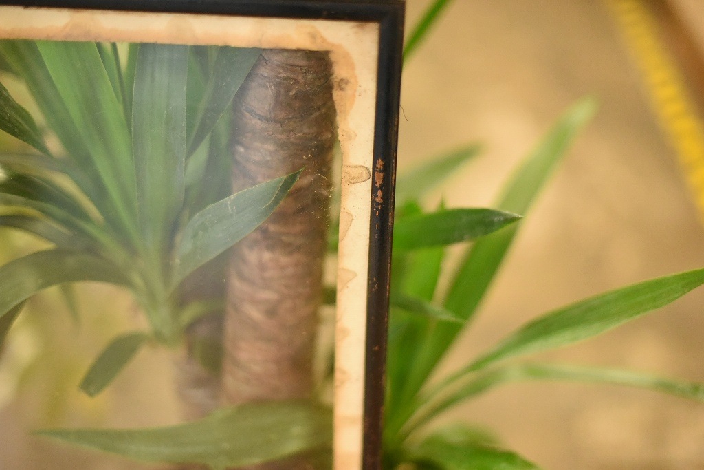 103520 ヴィンテージ　ウッドフレーム ガラス版付属　額縁