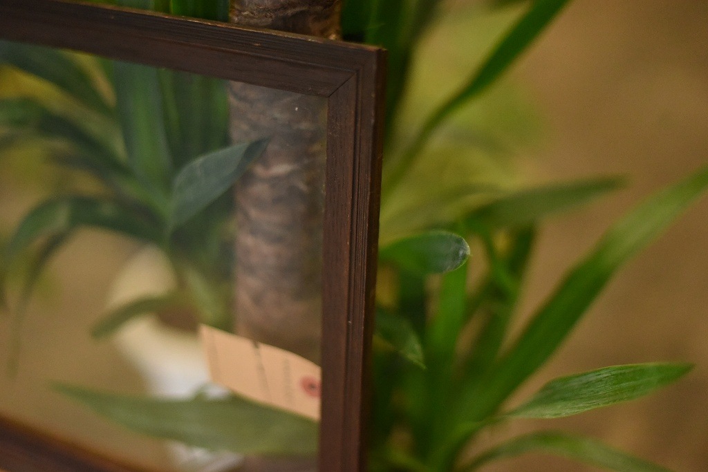 103638 ヴィンテージ　ウッドフレーム ガラス版付属　額縁